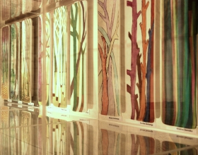 Izstāde UZ MEŽA MALU