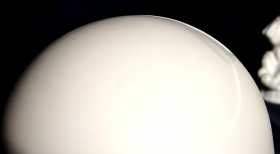 DARBA LAIKS GADU MIJĀ