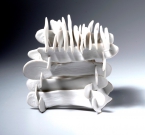 AICINĀJUMS pieteikt darbus 11. starptautiskajai mazo formu porcelāna izstādei